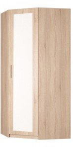 Шкаф угловой Реал (YR-230х884 (9)-М Вар.1), с зеркалом в Набережных Челнах