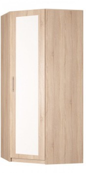 Шкаф угловой Реал (YR-230х884 (9)-М Вар.1), с зеркалом в Нижнекамске - изображение