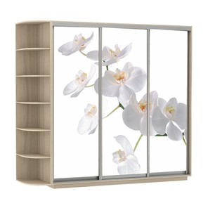 Шкаф 3-х створчатый Экспресс со стеллажом, 2100х600х2200, Орхидея белая/шимо светлый в Набережных Челнах