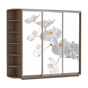 Шкаф Экспресс со стеллажом, 2100х600х2200, Орхидея белая/шимо темный в Нижнекамске - предосмотр