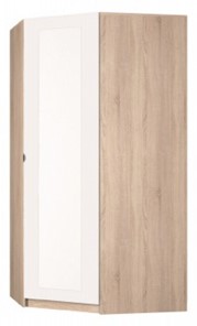 Распашной шкаф угловой Реал (YR-198х1034-TR (7)-М  Вар.5), с зеркалом в Набережных Челнах