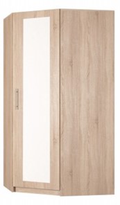 Распашной шкаф угловой Реал (YR-198х1034 (7)-М, Вар.4), с зеркалом в Набережных Челнах