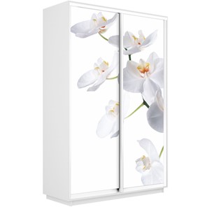 Шкаф 2-створчатый Экспресс 1600x450x2400, Орхидея белая/белый снег в Казани