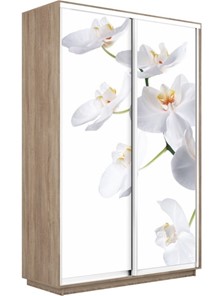 Шкаф Экспресс 1600x450x2400, Орхидея белая/дуб сонома в Нижнекамске