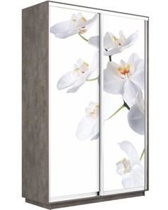 Шкаф-купе двухдверный Экспресс 1600x600x2400, Орхидея белая/бетон в Альметьевске