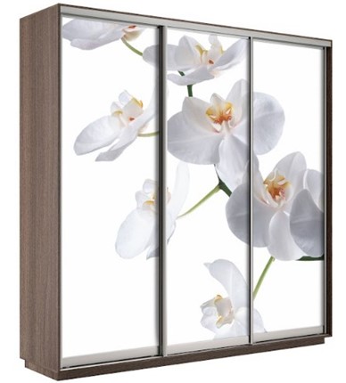 Шкаф 3-створчатый Экспресс 1800х600х2200, Орхидея бела/шимо темный в Казани - изображение