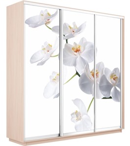 Шкаф 3-дверный Экспресс 1800х600х2200, Орхидея белая/дуб молочный в Альметьевске