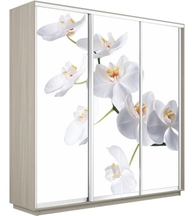 Шкаф-купе трехдверный Экспресс 1800х600х2200, Орхидея белая/шимо светлый в Альметьевске - изображение