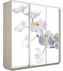 Шкаф 3-х дверный Экспресс 2100х600х2200, Орхидея белая/шимо светлый в Набережных Челнах
