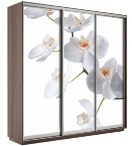 Шкаф 3-х створчатый Экспресс 2100х600х2200, Орхидея белая/шимо темный в Нижнекамске