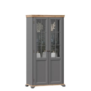 Шкаф двухстворчатый с стеклом Амели (Оникс серый) ЛД 642.890 в Альметьевске