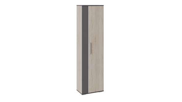 Шкаф распашной Нуар (Фон серый/Дуб сонома) в Альметьевске - изображение