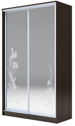 Шкаф-купе 2-х створчатый 2400х1362х620 два зеркала, "Цапли" ХИТ 24-14-66-01 Венге Аруба в Альметьевске - изображение