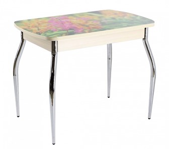 Кухонный стол раскладной ПГ мини СТФ, дуб молочный лдсп/луговые цветы/35 хром гнутые в Альметьевске