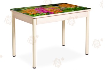 Кухонный раздвижной стол Айсберг-02 СТФ, Дуб ЛДСП/полевые цветы/ноги крашеные в Набережных Челнах