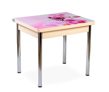 Кухонный пристенный стол СПА-01 СТФ, молочный дуб/фотопечать орхидея/опоры прямые хром в Набережных Челнах