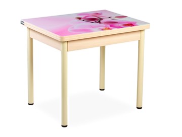 Кухонный пристенный стол СПА-02 СТФ, молочный дуб/фотопечать орхидея/опоры бежевый в Набережных Челнах