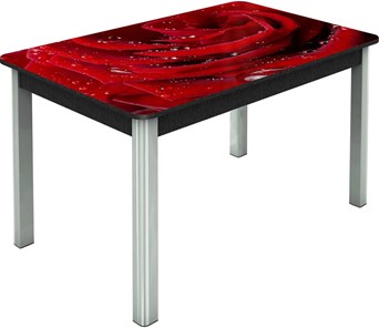 Кухонный стол раскладной Гамбург исп. Мини, ноги метал. крашеные №23, Фотопечать (Цветы №39) в Нижнекамске