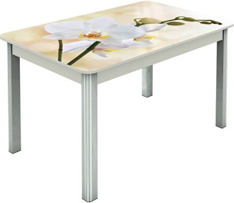 Раздвижной стол Гамбург исп.2 ноги метал. крашеные №23, Фотопечать (Цветы №5) в Альметьевске