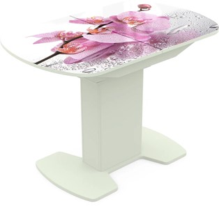 Кухонный стол раскладной Корсика исп. 2 Фотопечать (Цветы №55) 1200(1515)*800 в Альметьевске