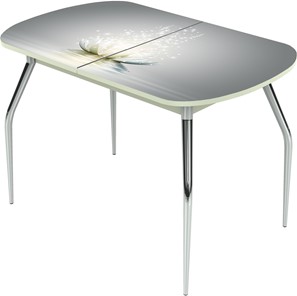 Обеденный раздвижной стол Ривьера исп.1 ноги метал. крашеные №24 Фотопечать (Цветы №29) в Альметьевске