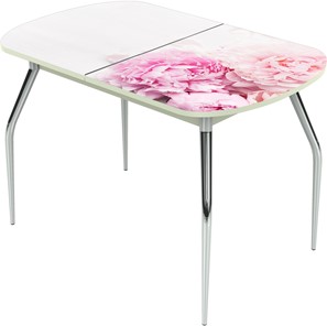 Кухонный стол раскладной Ривьера исп.1 ноги метал. крашеные №24 Фотопечать (Цветы №49) в Альметьевске