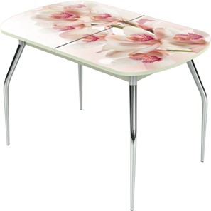 Кухонный стол раскладной Ривьера исп.1 ноги метал. крашеные №24 Фотопечать (Цветы №8) в Нижнекамске