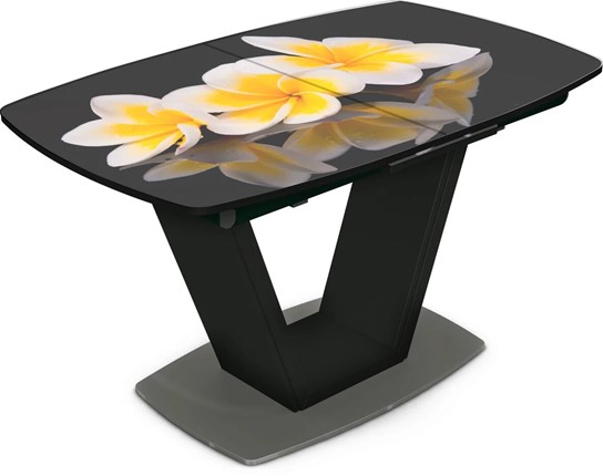 Кухонный раскладной стол Севилья Фотопечать (Цветы №11) в Нижнекамске - изображение