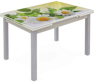 Кухонный стол раскладной Шанхай исп. 2, ноги метал. крашеные №21 Фотопечать (Цветы №3) в Альметьевске