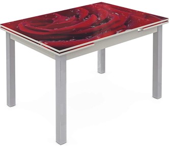 Обеденный раздвижной стол Шанхай исп. 2, ноги метал. крашеные №21 Фотопечать (Цветы №39) в Альметьевске