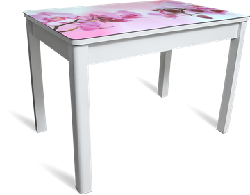 Кухонный стол раздвижной Айсберг мини СТФ, белое лдсп/орхидея/40 прямые массив белые в Набережных Челнах