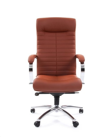 Офисное кресло CHAIRMAN 480 Экокожа Terra 111 (коричневая) в Казани - изображение 1