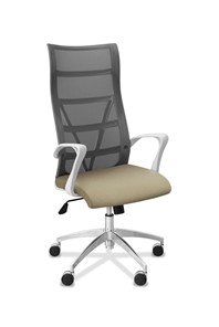 Кресло для руководителя Топ X белый каркас, сетка/ткань TW / серая/светло-серая в Нижнекамске - предосмотр