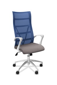 Офисное кресло для руководителя Топ X белый каркас, сетка/ткань TW / синяя/серая в Нижнекамске - предосмотр