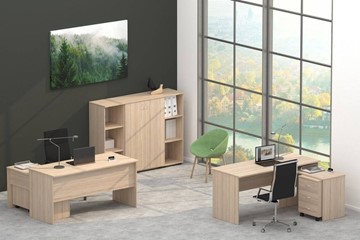 Офисный набор мебели Twin в Альметьевске - предосмотр 4