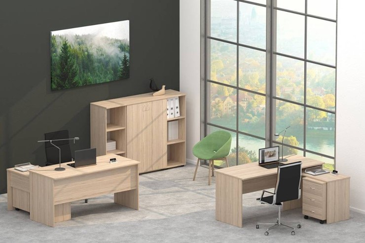 Офисный набор мебели Twin в Альметьевске - изображение 4