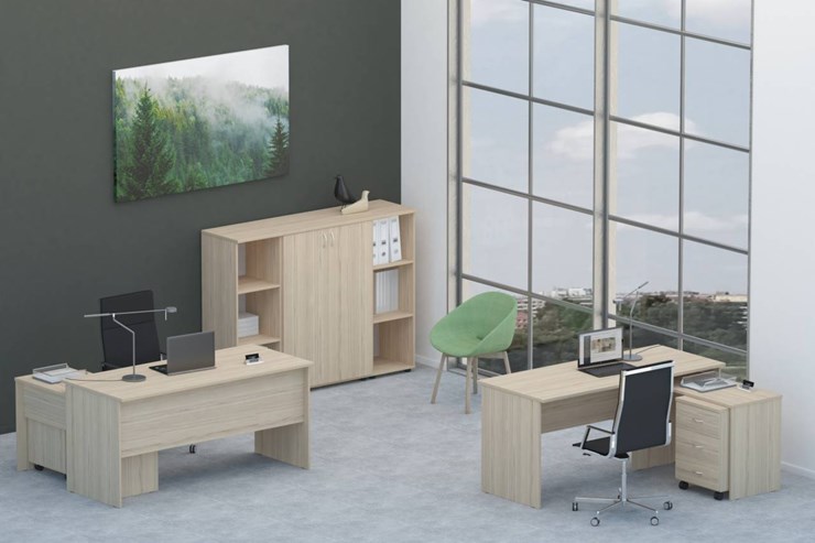 Офисный комплект мебели Twin для 2 сотрудников со шкафом для документов в Альметьевске - изображение
