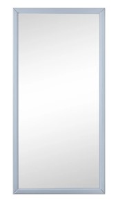 Зеркало навесное Ника (Серый) 119,5 см x 60 см в Нижнекамске