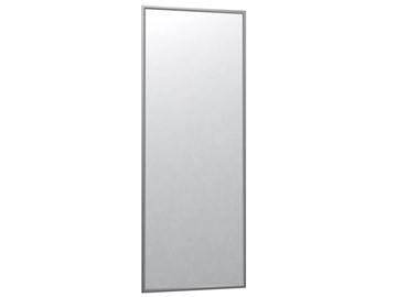 Зеркало навесное в гардероб Сельетта-6 матовое серебро (1100х400х9) в Альметьевске - предосмотр
