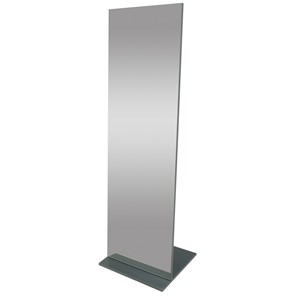 Напольное зеркало Стелла (графит темный) 163,5 см x 50 см в Альметьевске