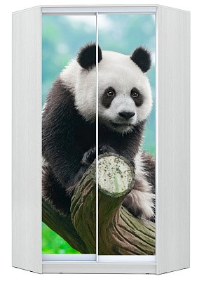 Детский угловой шкаф Хит-У-24-4-77-29, Панда, Белый в Набережных Челнах - изображение