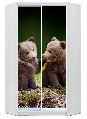 Детский угловой шкаф Хит-У-23-4-77-25, Медвежата, Белый в Нижнекамске - изображение