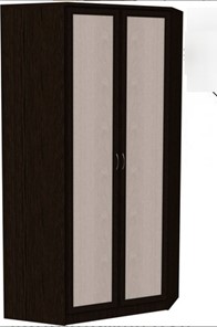 Шкаф распашной 403 несимметричный, цвет Венге в Набережных Челнах - предосмотр