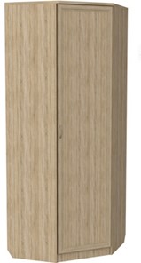 Шкаф 400 угловой, цвет Дуб Сонома в Нижнекамске - предосмотр