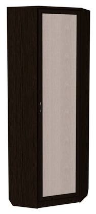 Шкаф распашной 402 угловой со штангой, цвет Венге в Альметьевске - изображение