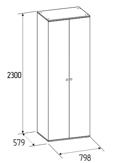 Двухдверный шкаф Neo 54, Фасад Стандарт + Стандарт в Альметьевске - изображение 2