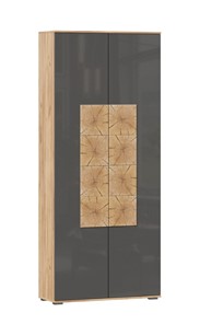 Шкаф двухстворчатый Фиджи с декоративными накладками 659.310, Дуб Золотой/Антрацит в Набережных Челнах