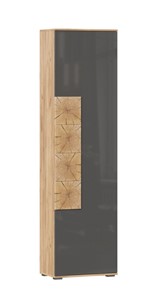 Шкаф одностворчатый Фиджи с декоративными накладками 659.300, Дуб Золотой/Антрацит в Нижнекамске