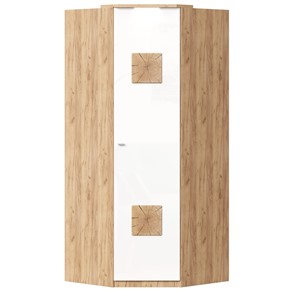 Шкаф угловой 45 с декоративной накладкой Фиджи, 659.248, белый в Альметьевске - предосмотр