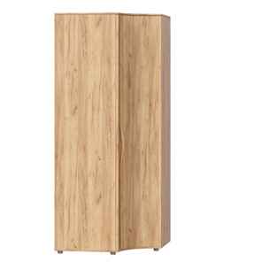 Распашной шкаф с гнутой дверью Марта-2 Дуб золотой/Дуб Тортуга ЛД 406.050 в Набережных Челнах